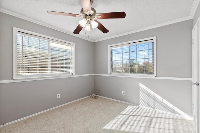 empty room featuring light colored carpet, a textured ceiling, and ornamental molding