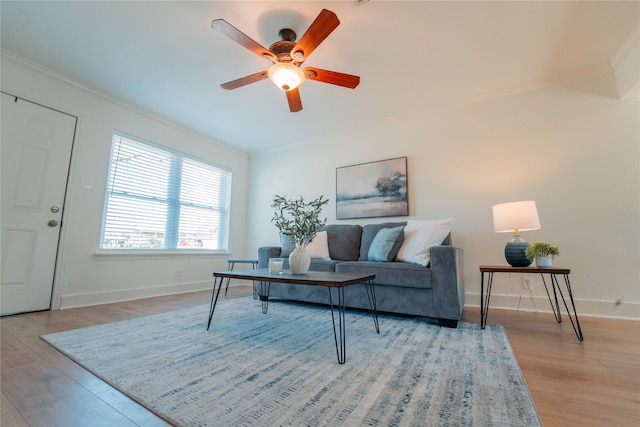 living room featuring crown molding, ceiling fan, and light hardwood / wood-style flooring