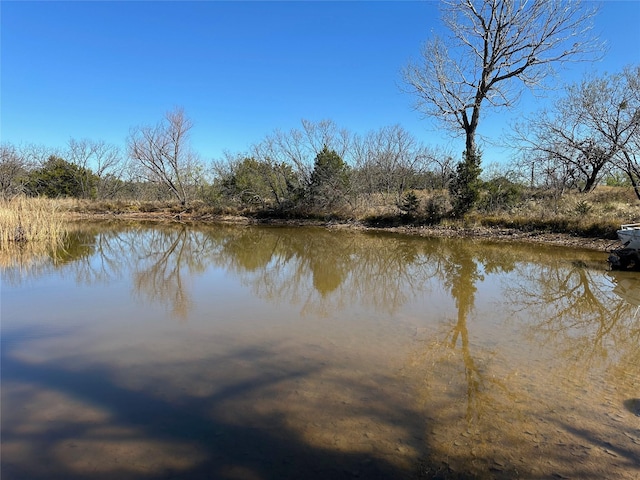 10.5 Fm 585, Bangs TX, 76823 land for sale