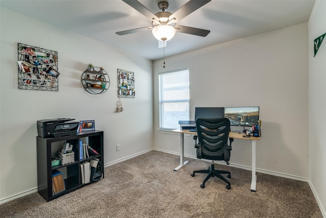 office featuring carpet floors and ceiling fan