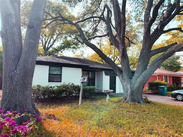 ranch-style house with a front yard