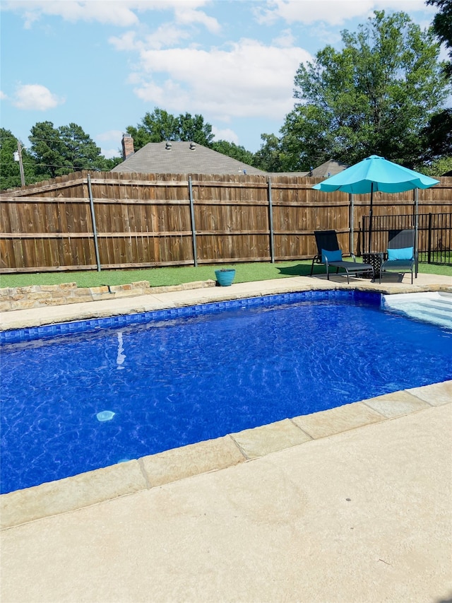 view of swimming pool