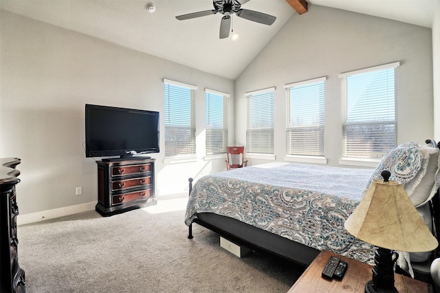 carpeted bedroom with ceiling fan, lofted ceiling with beams, and multiple windows