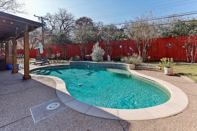 view of pool featuring a patio