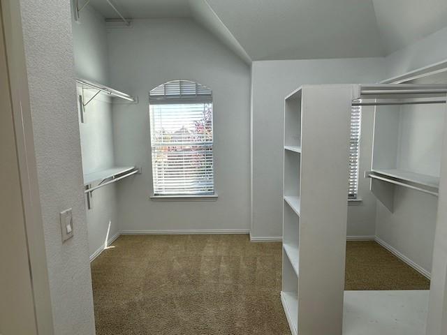 spacious closet with lofted ceiling and carpet floors