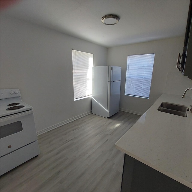 kitchen featuring light hardwood / wood-style floors, white appliances, and sink