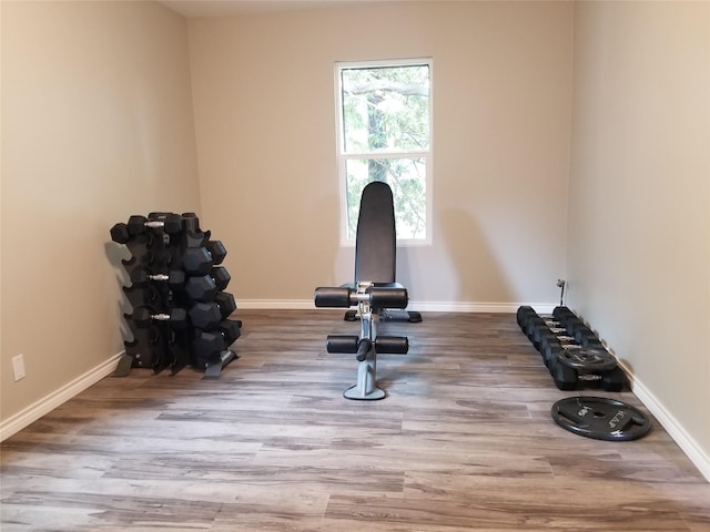 exercise room featuring hardwood / wood-style floors