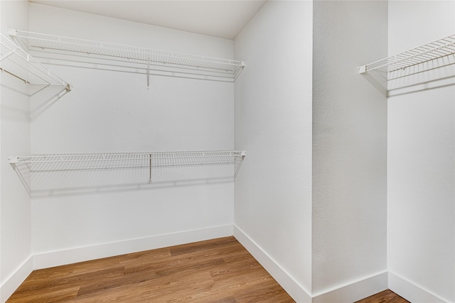 walk in closet with hardwood / wood-style floors