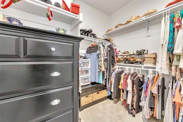 spacious closet with carpet floors