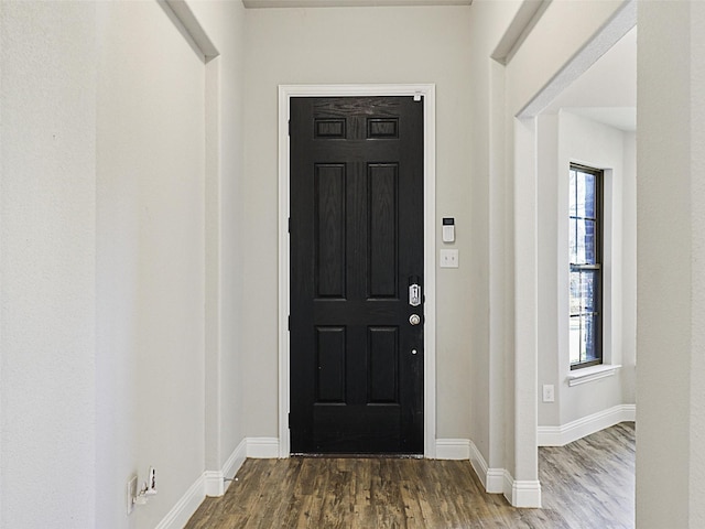 entryway with a wealth of natural light and wood-type flooring