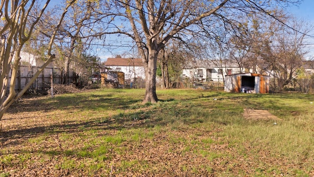 view of yard featuring a storage shed