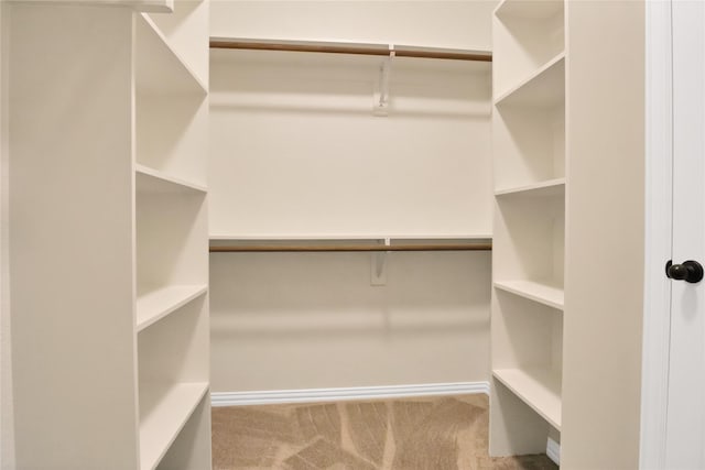 spacious closet with light colored carpet