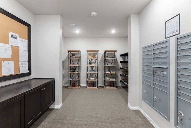 interior space featuring carpet and a mail area