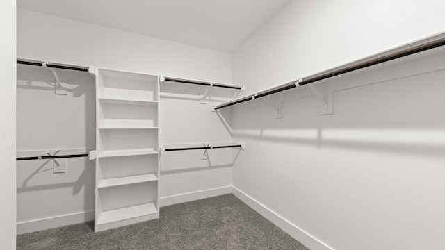 spacious closet featuring dark colored carpet