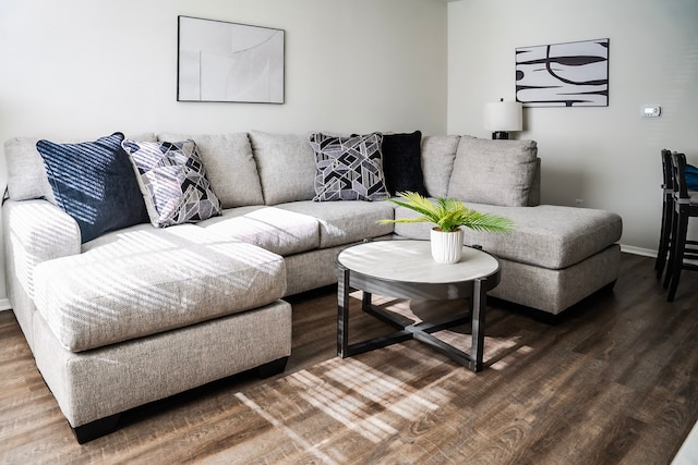 living room with wood-type flooring