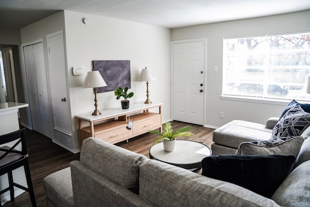 living room featuring dark hardwood / wood-style flooring