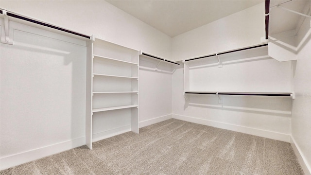 walk in closet with light colored carpet