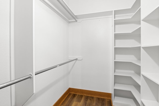 spacious closet with dark hardwood / wood-style flooring