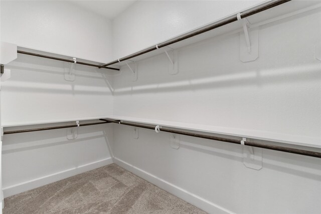 spacious closet with light colored carpet