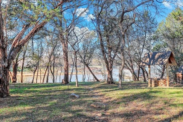 view of yard with a water view