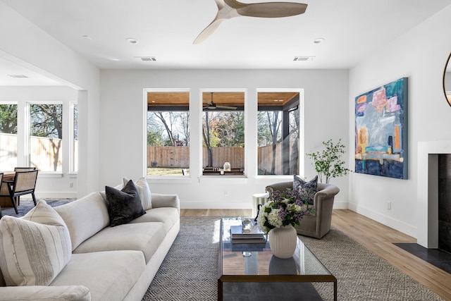 living room featuring hardwood / wood-style floors and a healthy amount of sunlight