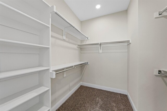 spacious closet featuring carpet floors