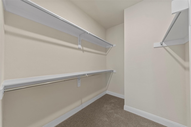 walk in closet with carpet