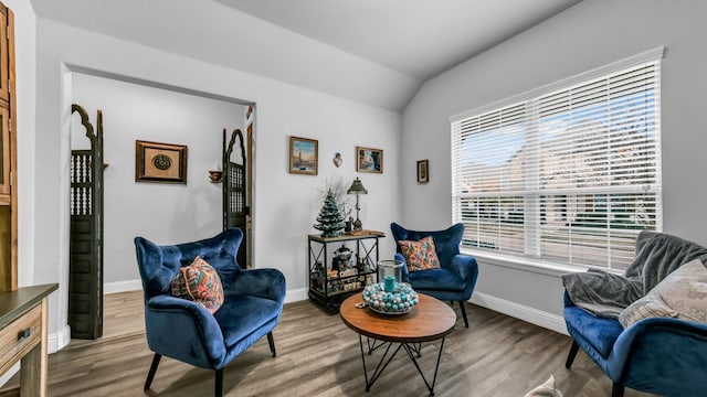 living area featuring wood-type flooring and vaulted ceiling