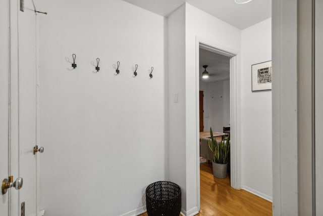 corridor featuring light hardwood / wood-style flooring