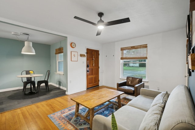 living room with hardwood / wood-style flooring and ceiling fan