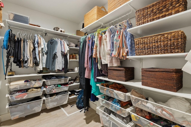 spacious closet with hardwood / wood-style floors