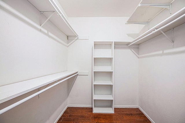 spacious closet featuring wood finished floors