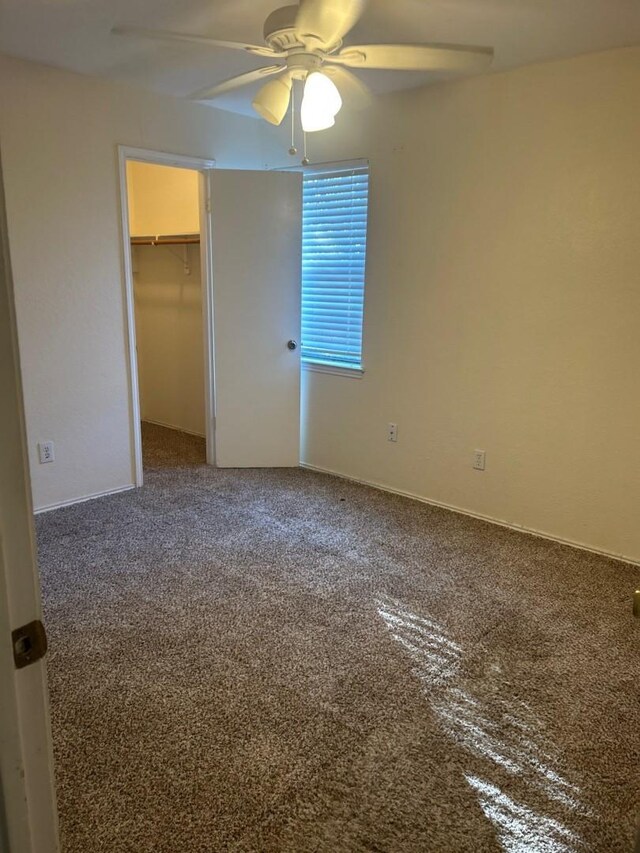 unfurnished bedroom featuring a walk in closet, ceiling fan, a closet, and carpet floors