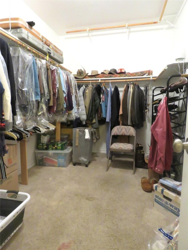 313 Hidden Lake Ct, Burleson, TX 76028 - walk in closet with carpet floors