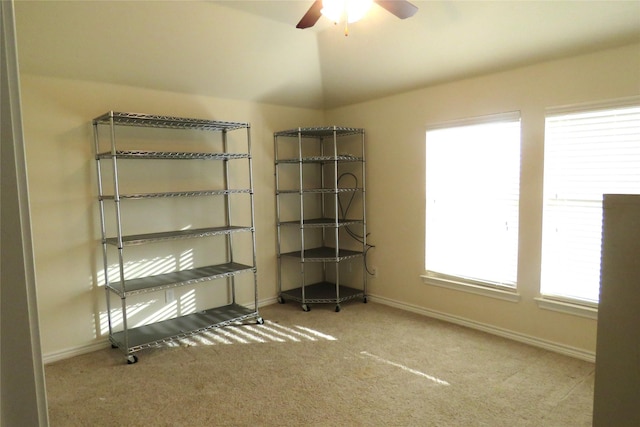 storage area with ceiling fan