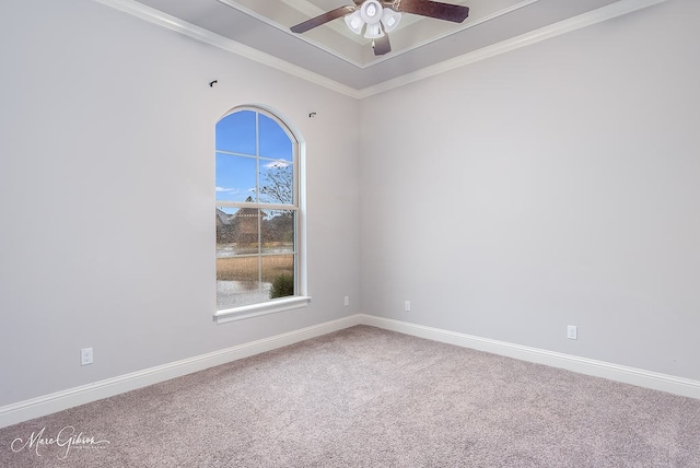 carpeted empty room with ceiling fan and ornamental molding