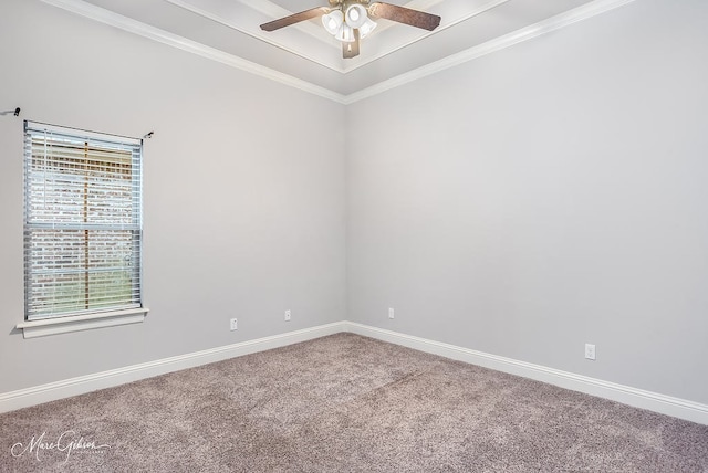 empty room featuring carpet flooring, ceiling fan, and ornamental molding