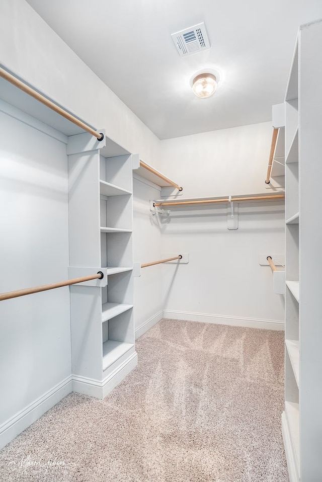 walk in closet with light carpet