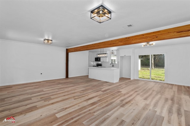 unfurnished living room with light hardwood / wood-style floors, sink, and crown molding