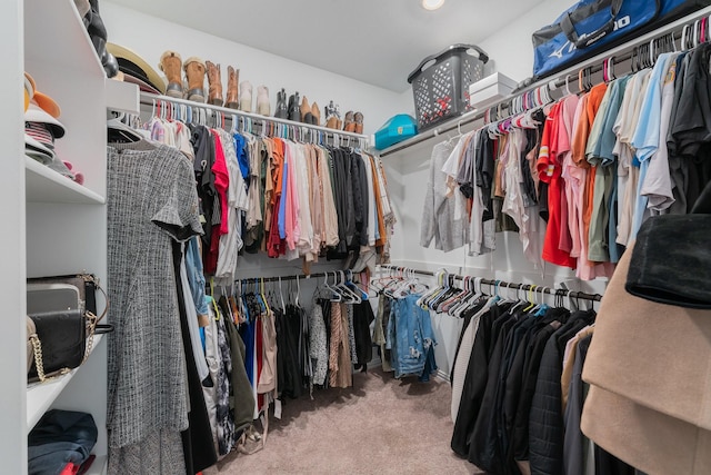 walk in closet featuring carpet flooring