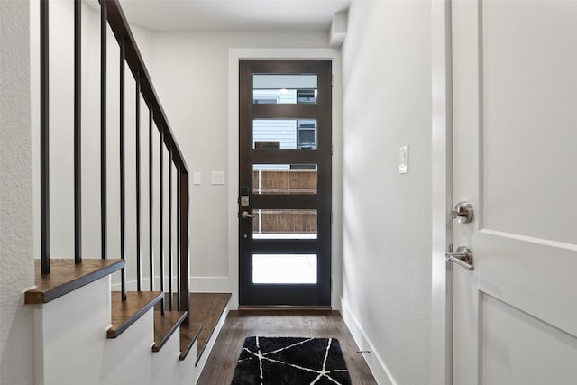 foyer with a healthy amount of sunlight and dark wood-type flooring