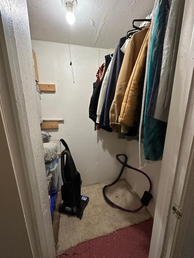 walk in closet featuring carpet