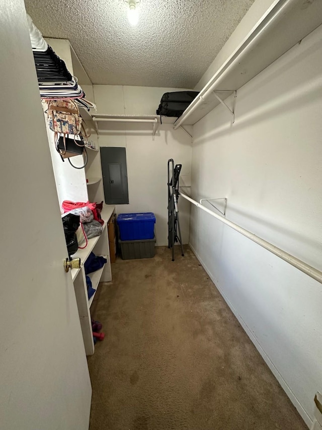 spacious closet featuring carpet flooring and electric panel