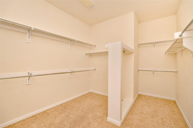 walk in closet featuring light carpet