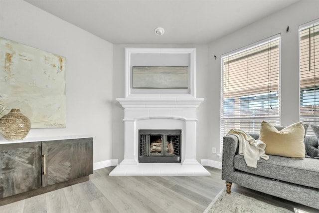 living room with hardwood / wood-style flooring