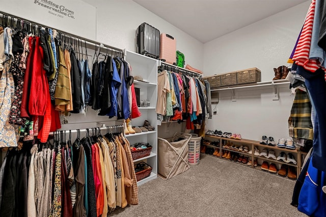 walk in closet featuring carpet flooring