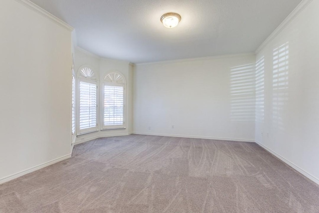 carpeted empty room with crown molding