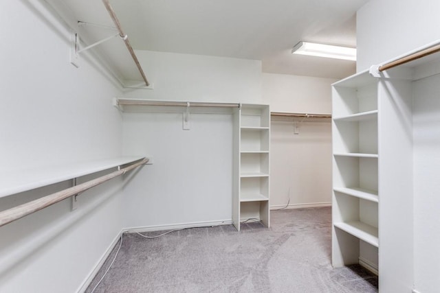 spacious closet featuring light colored carpet