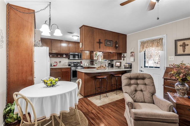 kitchen featuring pendant lighting, dark hardwood / wood-style flooring, stainless steel appliances, and a healthy amount of sunlight