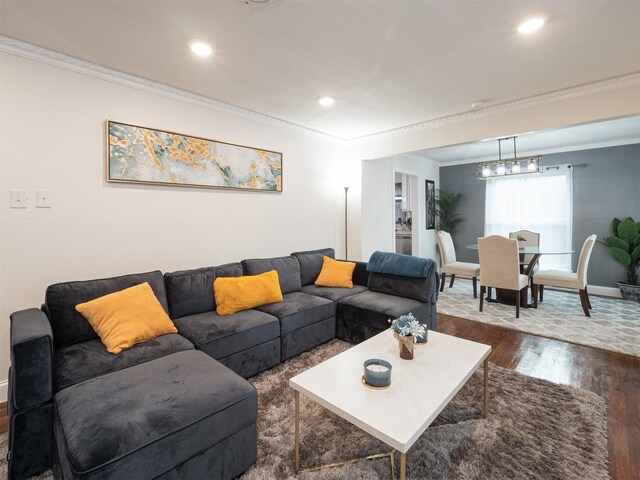 living room with crown molding and dark hardwood / wood-style flooring